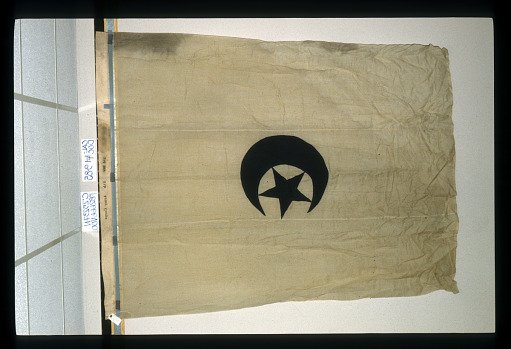 Designating Flag, 3rd Division, 7th Army Corps
