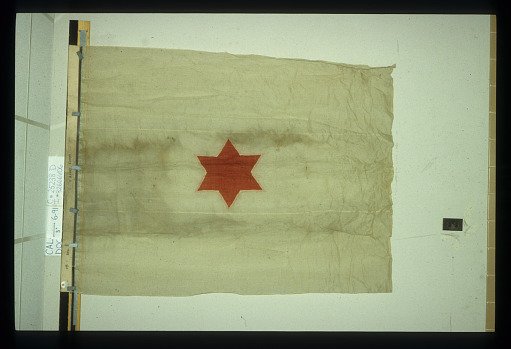 Designating Flag, 1st Division, 8th Army Corps