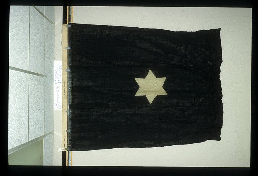 Designating Flag, 2nd Division, 8th Army Corps