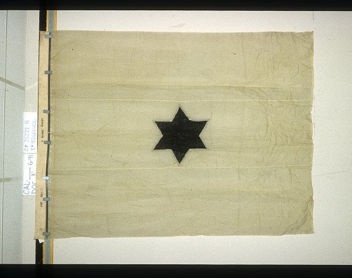 Designating Flag, 3rd Division, 8th Army Corps