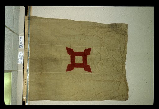 Designating Flag, 1st Division, 10th Army Corps