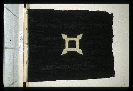 Designating Flag, 2nd Division, 10th Army Corps