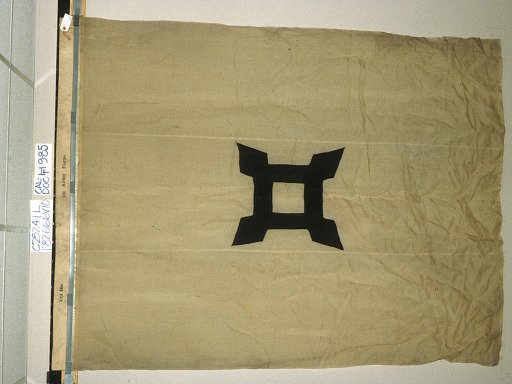 Designating Flag, 3rd Division, 10th Army Corps