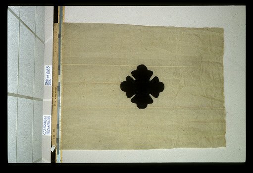 Designating Flag, 3rd Division, 18th Army Corps