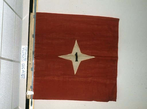 Designating Flag, 1st Division, 19th Army Corps