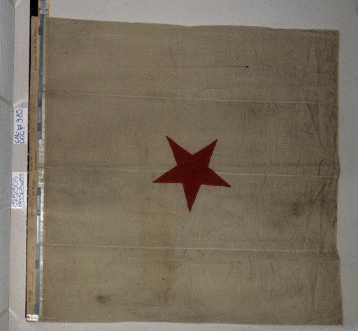 Designating Flag, 1st Division, 20th Army Corps, Department of the Cumberland