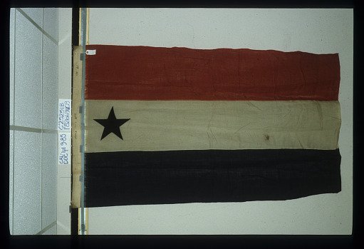 Designating Flag, 1st Division, 21st Army Corps
