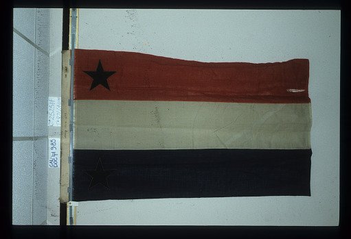 Designating Flag, 2nd Division, 21st Army Corps