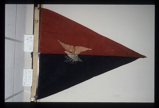 Designating Flag, Artillery Brigade, Department of West Virginia