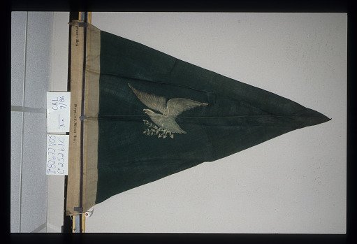 Designating Flag, Separate Brigade, Department of West Virginia