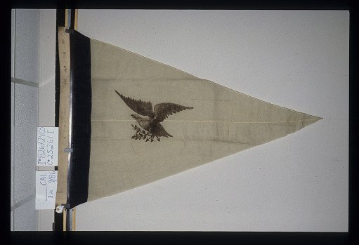 Designating Flag, 1st Brigade, 2nd Division, Department of West Virginia