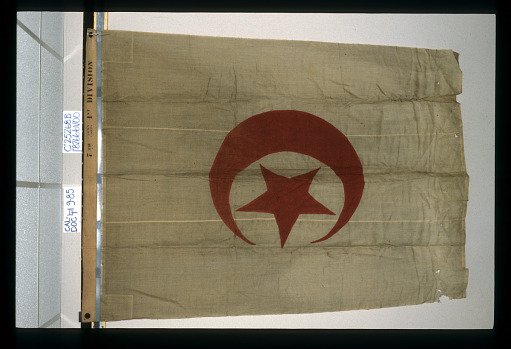 Designating Flag, 1st Division, 7th Army Corps
