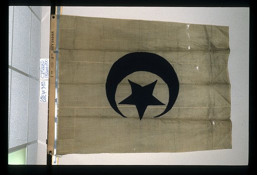 Designating Flag, 3rd Division, 7th Army Corps