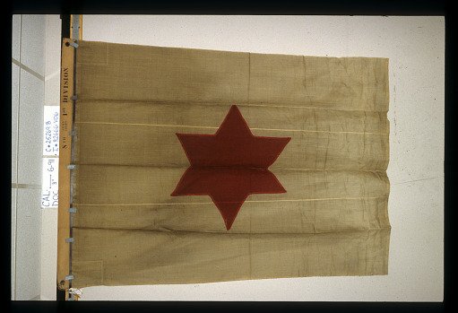 Designating Flag, 1st Division, 8th Army Corps