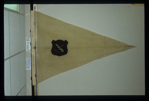 Designating Flag, 1st Brigade, 3rd Division, 9th Army Corps