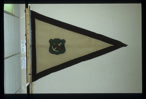 Designating Flag, 3rd Brigade, 4th Division, 9th Army Corps