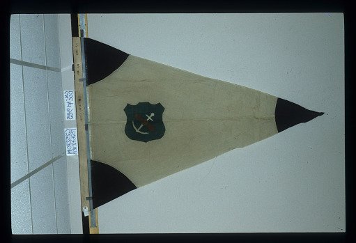 Designating Flag, 4th Brigade, 4th Division, 9th Army Corps