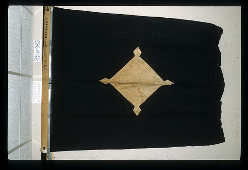 Designating Flag, 2nd Division, 10th Army Corps