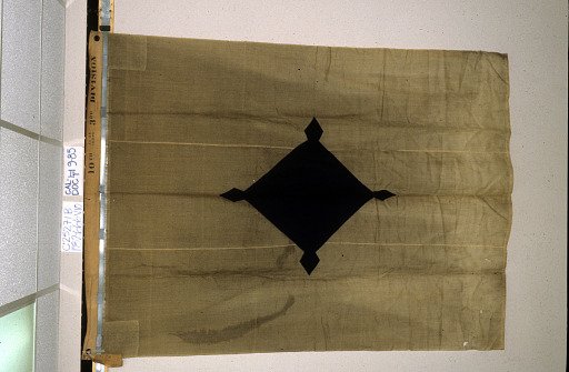 Designating Flag, 3rd Division, 10th Army Corps