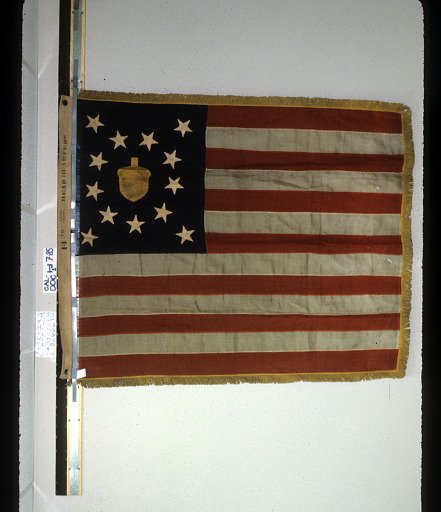 Designating Flag, Headquarters, 14th Army Corps, Department of the Cumberland