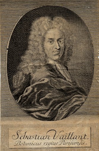 Sebastian Vaillant