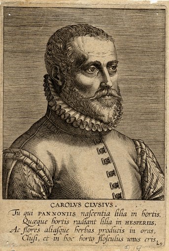 Carolus Clusius