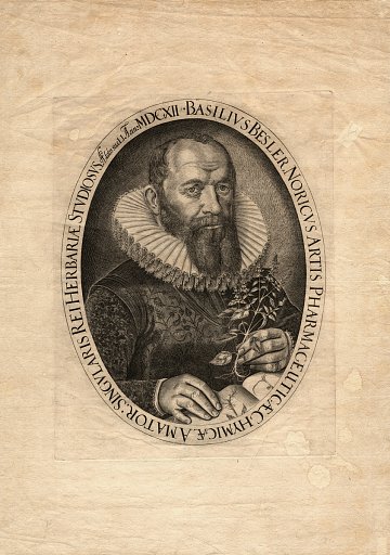 Basilius Besler