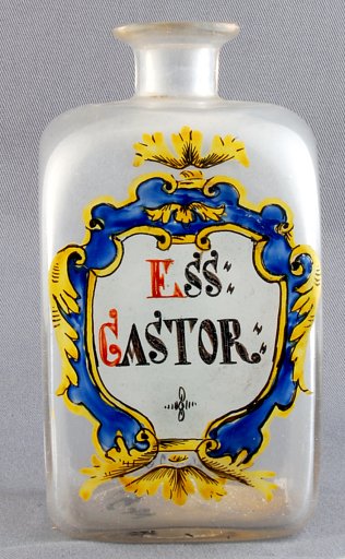 ESS CASTOR