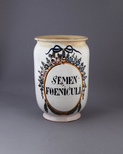 SEMEN FOENICUL