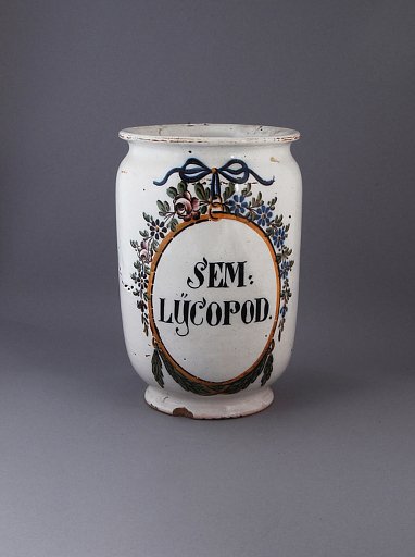 SEM: LYCOPOD