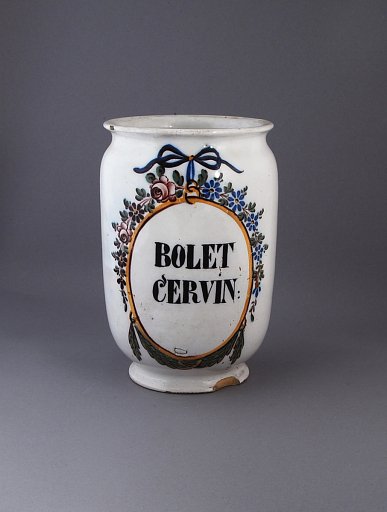 BOLET CERVIN