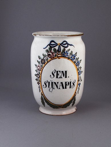 SEM. SYNAPIS