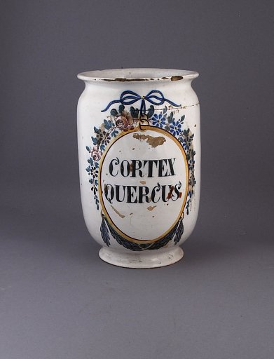 CORTEX QUERCUS