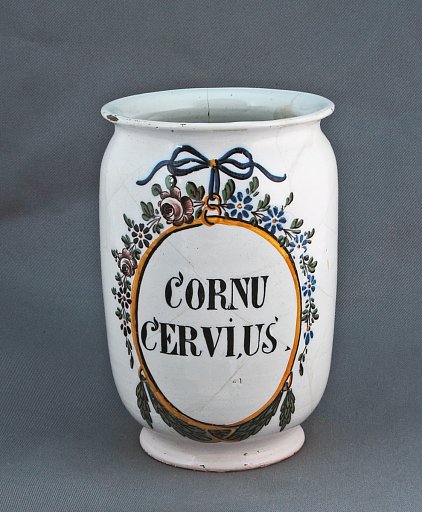 CORNU CERVIUS