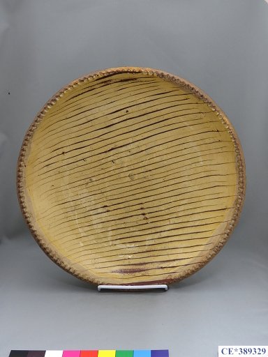 dish