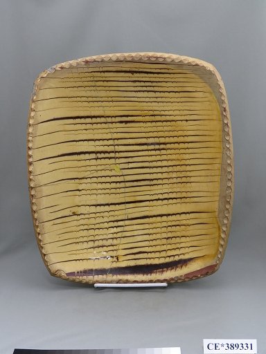 dish