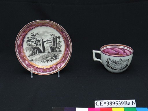 cup; saucer