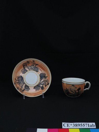 cup; saucer