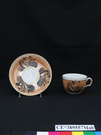 cup; saucer