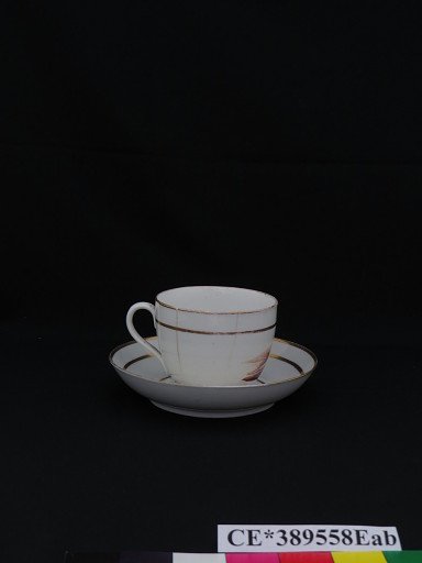 cup; saucer