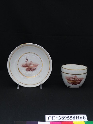 cup; saucer