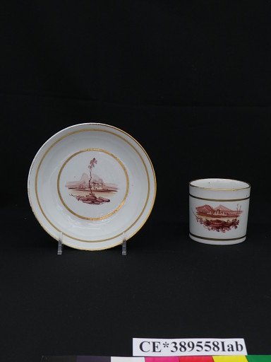 cup; saucer