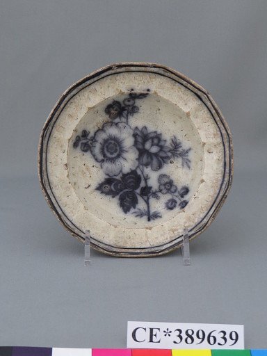 dish