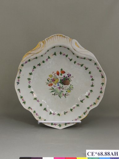 dish, shell