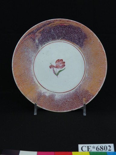 dish