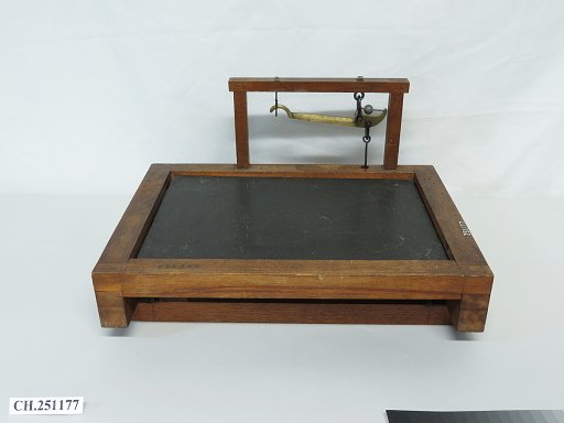 Platform Scale