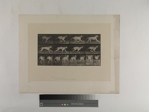 Animal Locomotion. Plate 707.