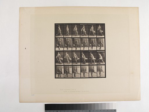Animal Locomotion. Plate 49.