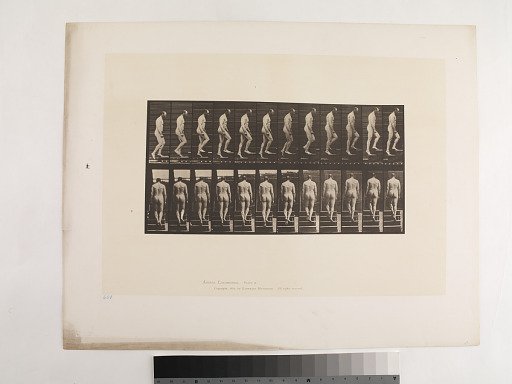 "Animal Locomotion. Plate 89."; Male, Ascending stairs