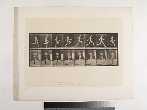 "Animal Locomotion. Plate 65."; Male, Running full speed